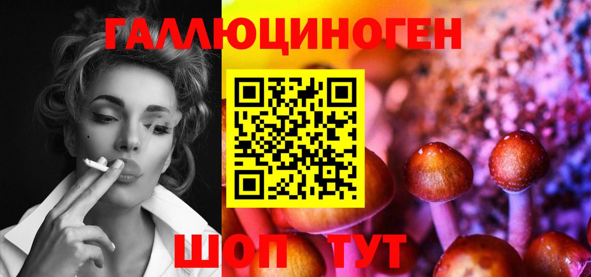 Тимашёвск  купить наркоту  Вход с VPN  Псилоцибиновые грибы Psilocybine cubensis  Галлюциногенные грибы ЛСД 